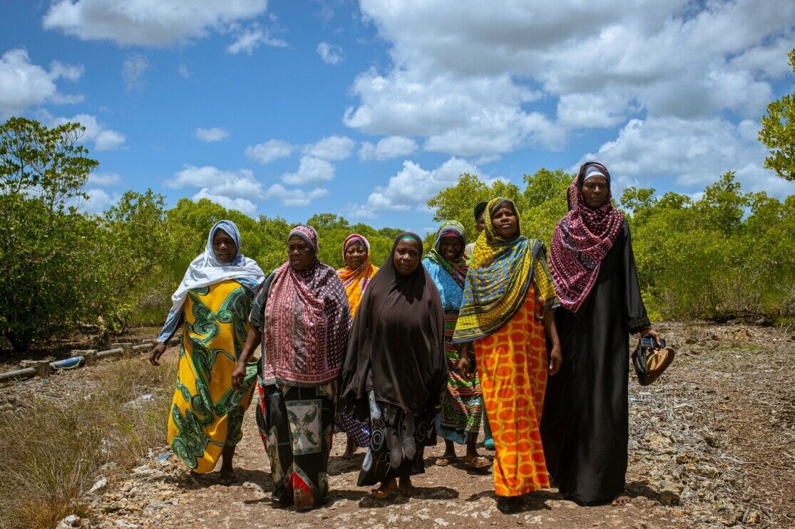 Climate Next: How data and community can save Zanzibar’s mangroves