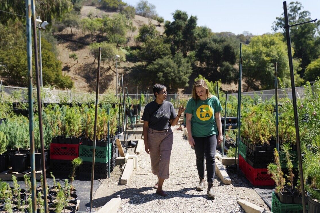 Climate Next: Using data to address tree cover and climate change