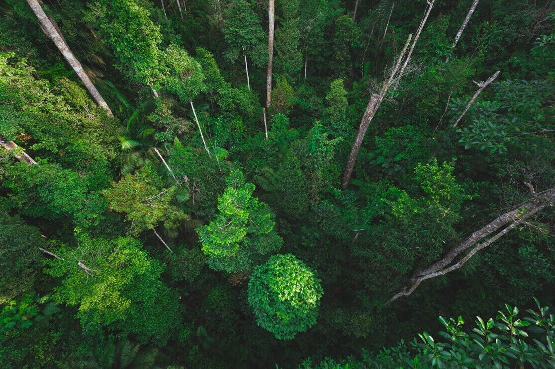 Data helps AWS customers cut their carbon emissions