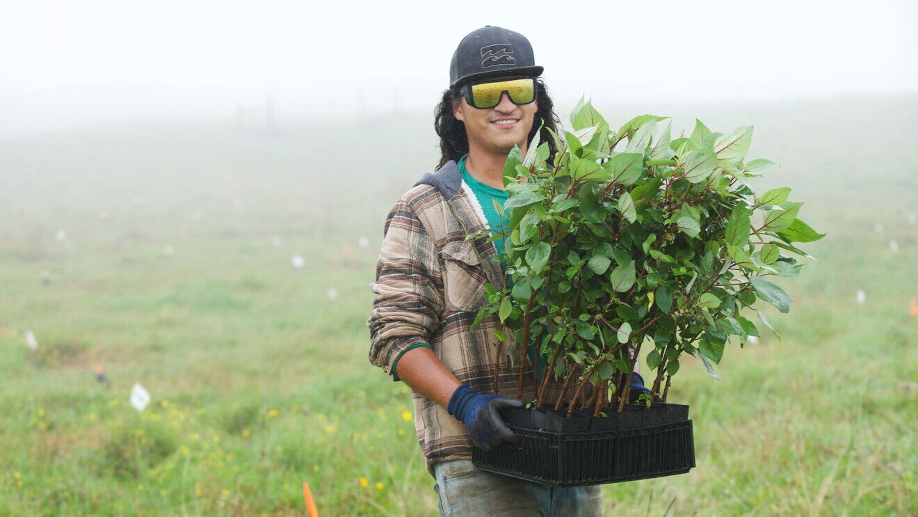 How a climate change startup is using AWS Cloud computing to monitor new forest growth