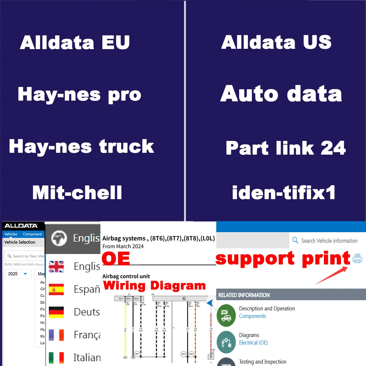 Alldata 2025 Repair software Online Account Estimate Tsb Dtc Wiring Diagrams Workshop Essential diagnostic Tool