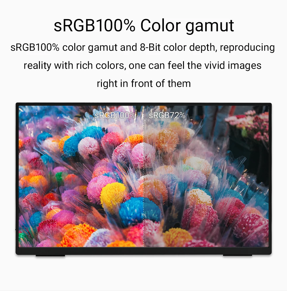 ZSUS 18-Inch 1080P 100Hz 100%sRGB Portable Monitor 16:9 HDR 350cd /M² For XBox PS4 / 5 Switch Cell Phone PC Loptop Extension-3