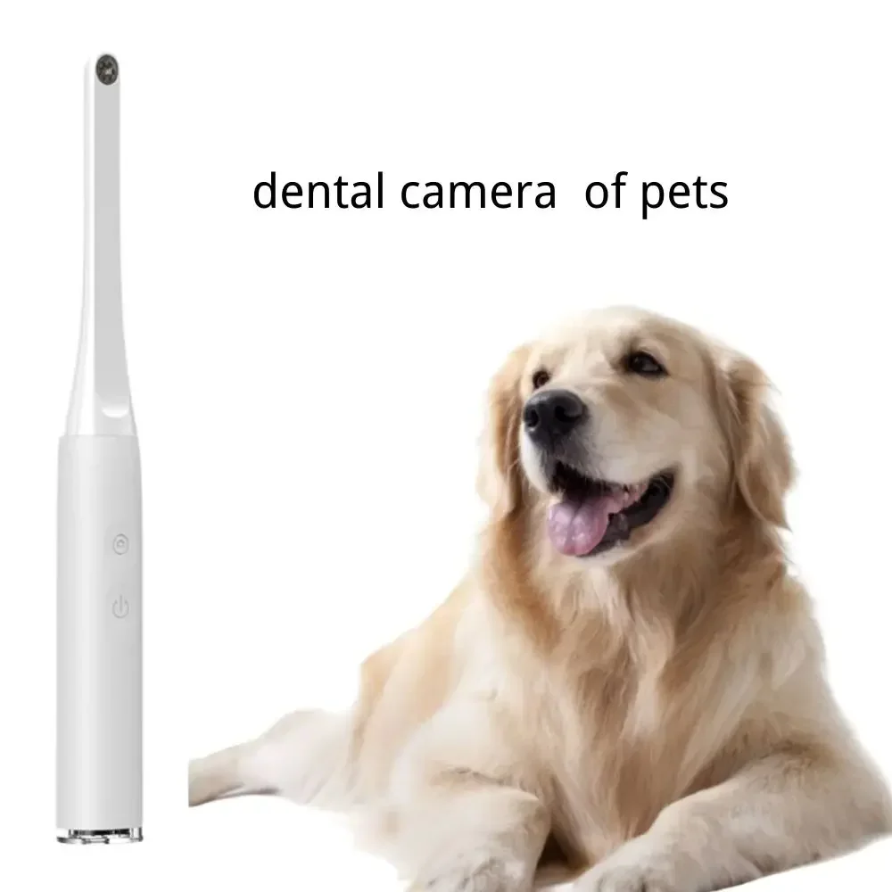 Wireless Visual Camera HD 1080P 2 Megapixel for IOS Android Mac Intraoral Skin Examination Nursing Home Kit Tools-5