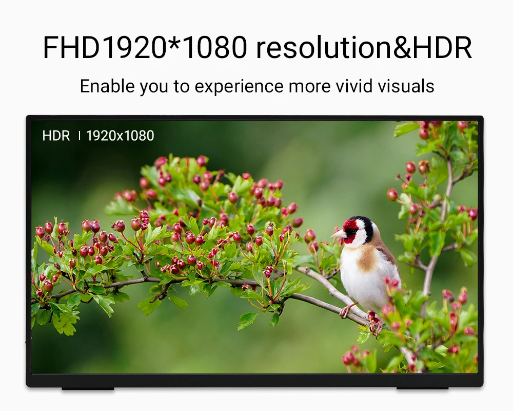 ZSUS 18-Inch 1080P 100Hz 100%sRGB Portable Monitor 16:9 HDR 350cd /M² For XBox PS4 / 5 Switch Cell Phone PC Loptop Extension-4