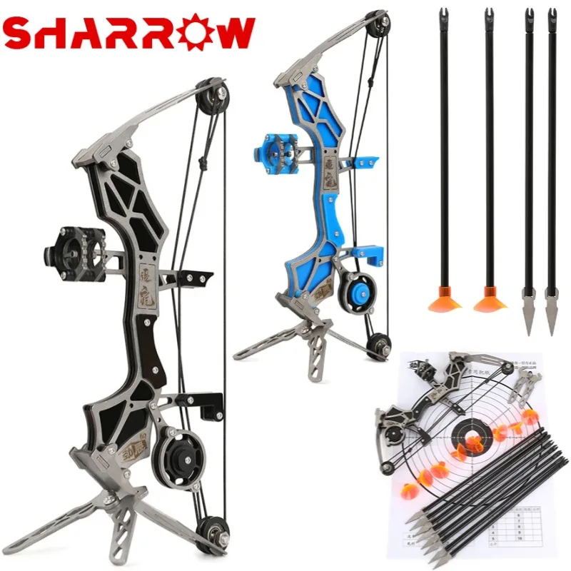 Archery Mini Compound Bow and Arrow Set 12Lbs Stainless Steel Powerful Bow Range 20-30m for Practice Shooting Pocket Pulley Bow