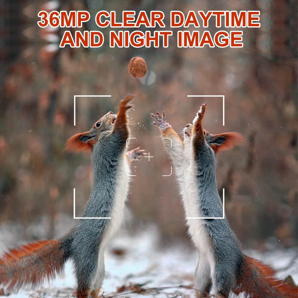 Hunting Trail Camera 36MP 1080P Night Vision Wildlife Camera With Motion Activated Outdoor Trail Cam Trigger Wildlife Scouting-3
