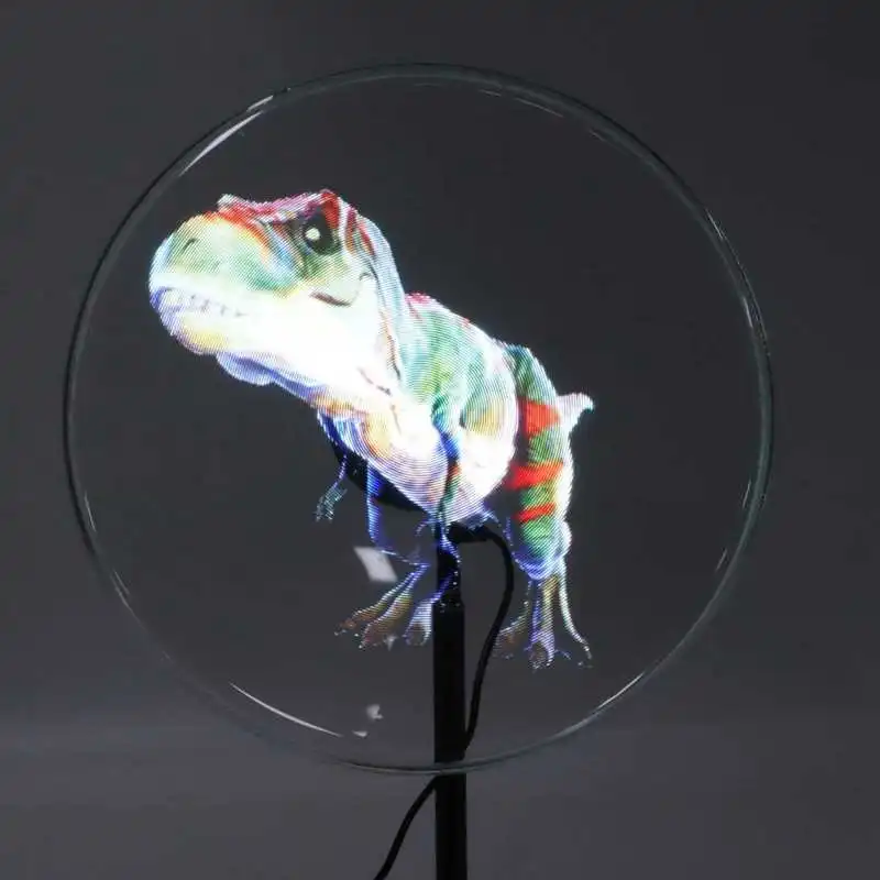 30CM Holographic Advertising Projector 25624 176 Degree Visual Angle 256 LED Beads 3D Hologram Advertising Display Fan-4